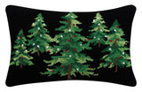 Country Christmas Hook Pillow